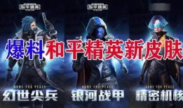 最新爆料的和平精英视频,独家视频带你领略游戏新篇章
